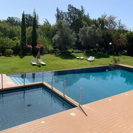 Concept With Pool By Homing