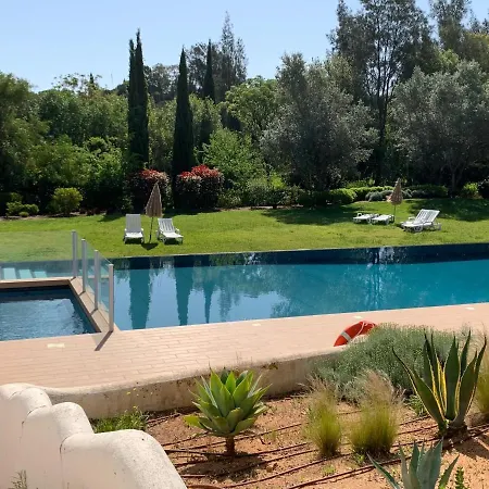 Villa Concept With Pool By Homing