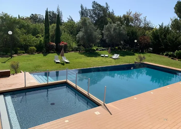 Concept With Pool By Homing