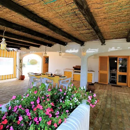 Concept With Pool By Homing