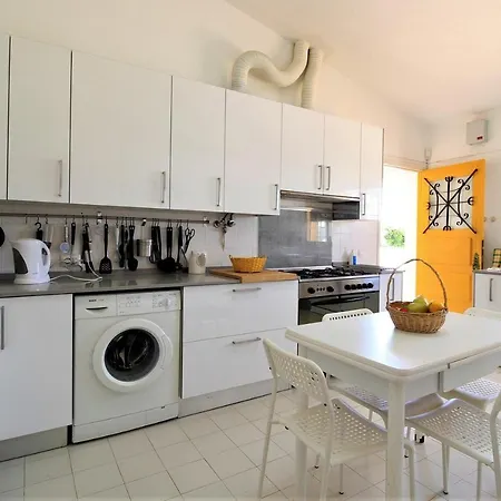 Concept With Pool By Homing *